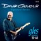 GHS STRINGS DAVID GILMOUR BLUE SIGNATURE SERIES - фото 21951