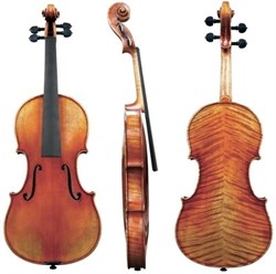 GEWA Violin Maestro 56 French Style - фото 21799