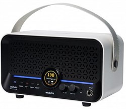 Mooer F15i-Li-SWH 8999