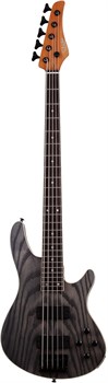 Schecter C-5 Standard CS 5 9217