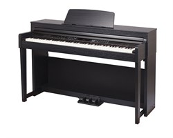 Medeli DP420K 9295