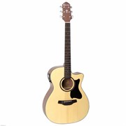 CRAFTER HT-100CE