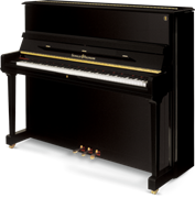 SCHULZE POLLMANN A 112 Black Gloss 8679
