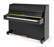 SCHULZE POLLMANN S 110AS Black Gloss 8682