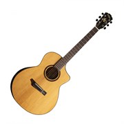Gopher Wood i365RCE 8724