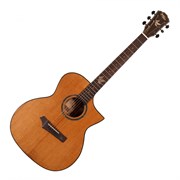 Gopher Wood i320RCE 8725