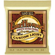 ERNIE BALL 2007 8810