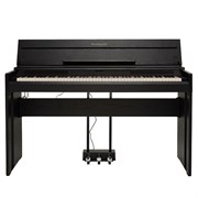 ROCKDALE Virtuoso 8373