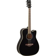 YAMAHA FG-TA 5654