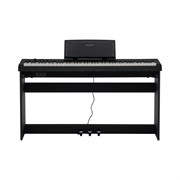 ROCKDALE NOCTURNE S 256 8973