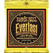 Ernie Ball 2560