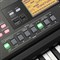 KORG EK-50 4175 - фото 11806 KORG EK-50 4175 - фото 11806