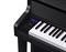 CASIO GP-310BK 5038 - фото 14592 CASIO GP-310BK 5038 - фото 14592