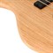 CORT Action-DLX-AS-OPN 5041