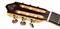 Kremona Fiesta-FC Cedar Artist Series 5179