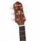 CRAFTER HT-100CE 5275