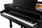 Рояль "Н.Рубинштейн НР-200" 6396