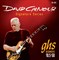 GHS STRINGS DAVID GILMOUR RED SIGNATURE SERIES - фото 21953