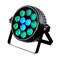 INVOLIGHT LEDPAR12HEX 7526 - фото 22836 INVOLIGHT LEDPAR12HEX 7526 - фото 22836