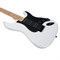 ROCKDALE STARS PLUS HT HSS MAPLE WHITE 7666 ROCKDALE STARS PLUS HT HSS MAPLE WHITE 7666