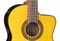 TAKAMINE GC5CE NAT 8306