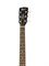 Cort Earth60M-OP 8466 Cort Earth60M-OP 8466
