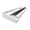 ROLAND FP-90X BK (WH) 8490