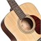 Cort Earth60M-OP 8466 Cort Earth60M-OP 8466