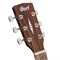 Cort Earth60M-OP 8466 Cort Earth60M-OP 8466