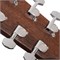 Cort Earth60M-OP 8466 Cort Earth60M-OP 8466