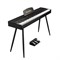 EMILY PIANO D-47 8870