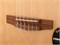 Cort Sunset-Nylectric-NAT 8883
