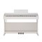 ROCKDALE Etude 256 8595