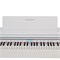 ROCKDALE Etude 256 8595