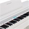 ROCKDALE Etude 256 8595