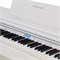 ROCKDALE Etude 256 8595