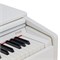 ROCKDALE Etude 256 8595