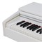 ROCKDALE Etude 256 8595