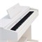 ROCKDALE Etude 256 8595