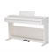 ROCKDALE Etude 256 8595
