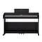 ROCKDALE Etude 256 8595