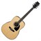 IBANEZ PF15 6171