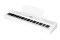 Ringway RP-60 9118