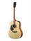 CORT AD810-LH 5860