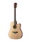 Fante FT-221 4949