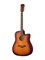 Fante FT-221 4949