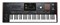 KORG PA5X-61 9146