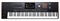 KORG PA5X-76 9147