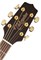 TAKAMINE G50 SERIES GD51 5220