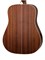 CORT EARTH100 5000